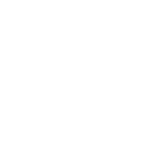 interim managers, Interim Managers